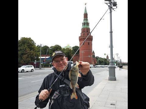 Видео: Рыбалка на спиннинг в центре Москвы! Новая поводковая оснастка