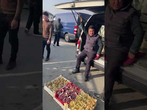 Видео: ВОЙ ДОД ДЕВОРАСИЗ УЗУМЛАР УЧЯБДИ Олтиариқ узум бозори