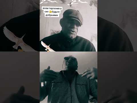 Видео: Серёга 🫠viks