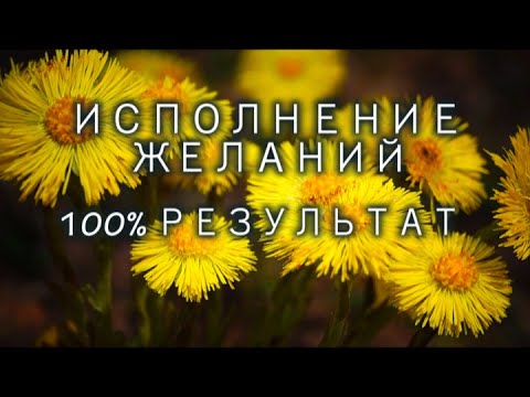 Видео: МУЗЫКА ЗАРЯЖЕНА НА ИСПОЛНЕНИЕ ЖЕЛАНИЙ №3