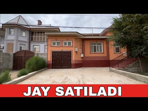 Видео: НОКИС КАЛАСЫНАН ТОЛЫК ПИТКЕН ЖАЙ САТЫЛАДЫ