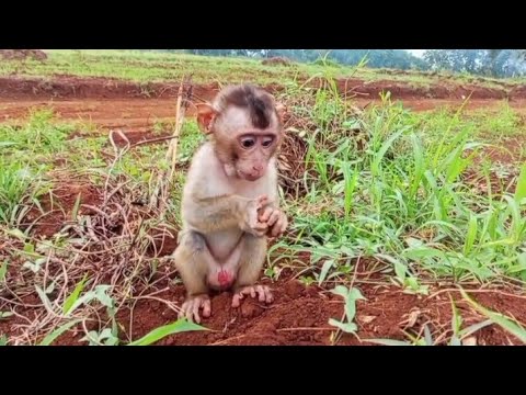 Видео: УРА‼️ ТАК РАД ВИДЕТЬ ДЖОНИ, ИГРАЮЩЕГО НА КУЧЕ ЗЕМЛИ