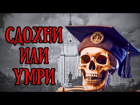 Видео: Как не умереть студенту?