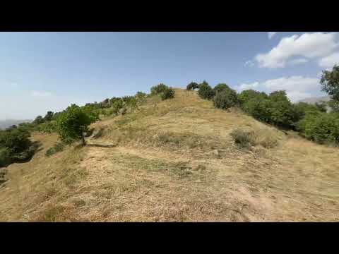 Видео: Манзарахои зебои Сайёд Ромит Вахдат Алаф дарави кариб тамом шид 2025