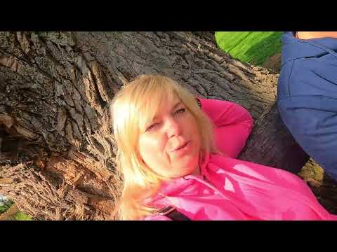 Видео: Жизнь в Германии спустя 2 года \ ФРИДЛАНД \ ПЕРВЫЕ ЭМОЦИИ \ РАБОТА В ГЕРМАНИИ \ УЧИМ НЕМЕЦКИЙ ЯЗЫК