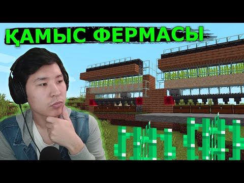 Видео: Қамыс фермасын салдым 🎋