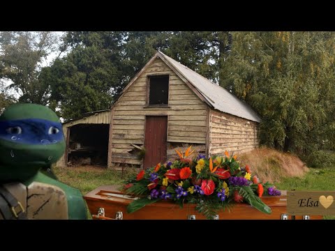 Видео: СМЕРТЬ ЭЛЬЗЫ.ЭЛЬЗА УМЕРЛА. ТРАГЕДИЯ ЛЕО. ЭЛЬЗА И ЛЕО. PART 2.Elsa and Leo. TMNT and Disney