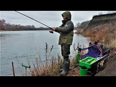 Видео: Фидер Зимой в Декабре! Когда льда нет, а на Рыбалку хочется!