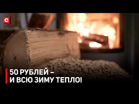 Видео: НАМНОГО ДЕШЕВЛЕ ГАЗА! Как сэкономить в холода? | Экологическое топливо из Беларуси