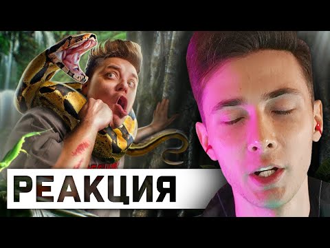 Видео: ХЕСУС СМОТРИТ: Мифы, в которые мы верим #14 | UTOPIA SHOW | РЕАКЦИЯ