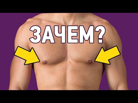 Видео: 10 НЕНУЖНЫХ ОРГАНОВ ЧЕЛОВЕКА