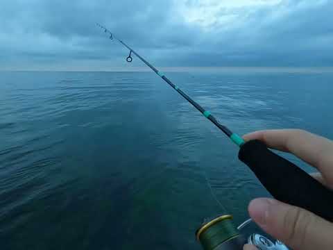 Видео: РЫБАЛКА В СОЧИ НА УЛЬТРАЛАЙТ| РАЗНОРЫБИЦА | ВЫПУСК 2