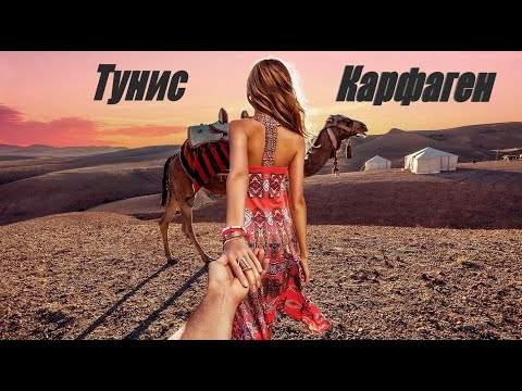 Видео: Тунис Карфаген погода  , ноябрь экскурсии 2019 , все включено , пегас туристик , горящий тур , 6+