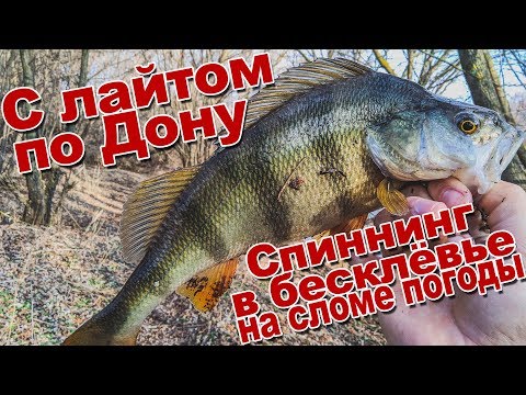 Видео: С лайтом по Дону | Ловля щуки и окуня на лёгкий джиг поздней осенью