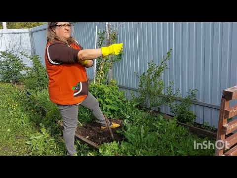 Видео: 👩‍🌾Дача...Несколько трудовых дней...потрудилась на славу...