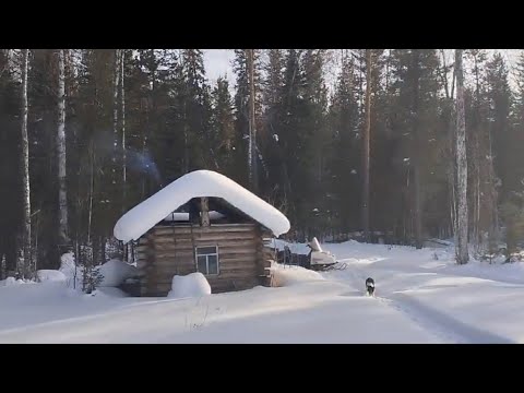 Видео: Закрываем охотничий сезон. 02.2025. Охота. Промысел. Closing the hunting season.2025.Hunting.Trade.