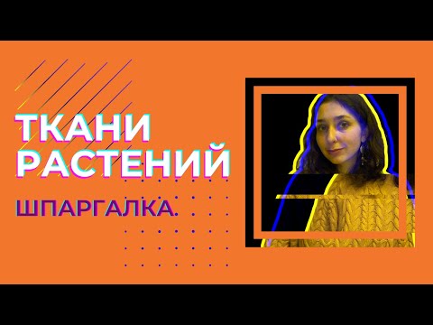 Видео: Ткани растений — шпаргалка. ЦТ, ЕГЭ, ЗНО