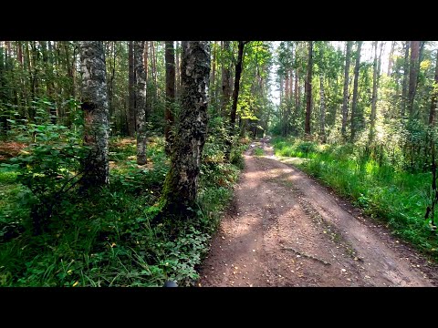 Видео: Вышний Волочек-Торжок-Кулицкая на велосипеде. Часть 3.