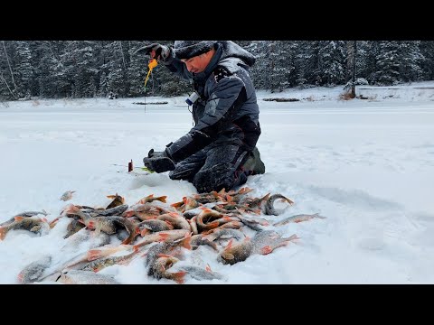 Видео: зимняя рыбалка на реке Еты - пур.решил проверить любимое место и не прогадал.