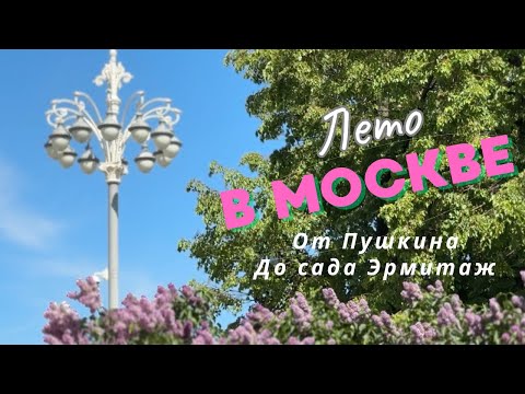 Видео: ОТ ПУШКИНА ДО САДА ЭРМИТАЖ