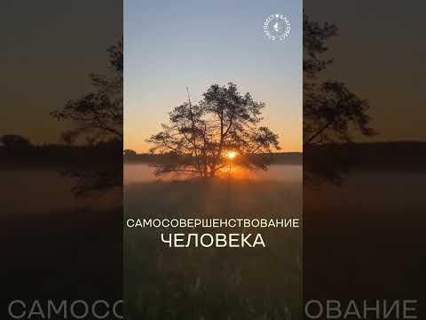 Видео: #БлагоВест ✴ САМОСОВЕРШЕНСТВОВАНИЕ ЧЕЛОВЕКА