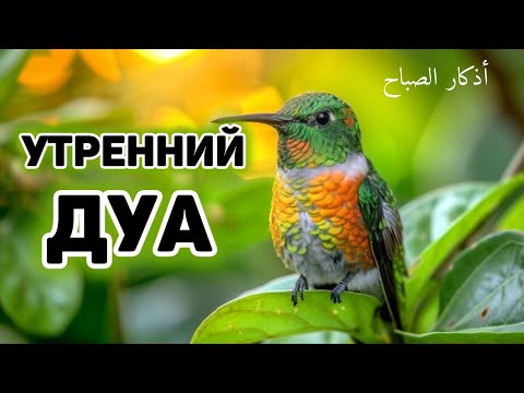 Видео: УТРЕННИЙ ДУА أذكار الصباح ЗАЩИТИТЬ ВАС ВЕСЬ ДЕНЬ | СЛУШАЙТЕ КАЖДОЕ УТРО!