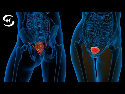 Видео: Частоты исцеления мочевого пузыря. - Heal & Clean Bladder (частота Райфа 352 Гц)