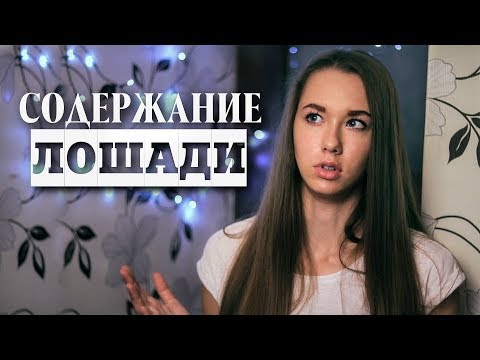 Видео: ЦЕНА ЛОШАДИ | Затраты и содержание