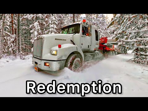 Видео: День выкупа автоцепей.