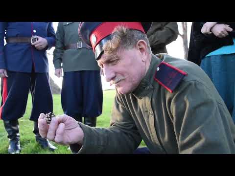 Видео: Лети, пташка-канарейка - ансамбль казачьей песни "Разродимая сторонка" станица Алексеевская