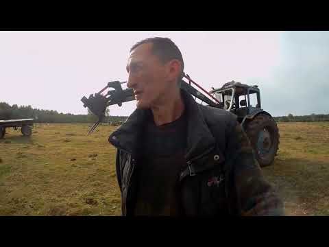 Видео: ЗЕРНОСЕНАЖ ИЛИ СОЛОМА С ЗЕРНОМ