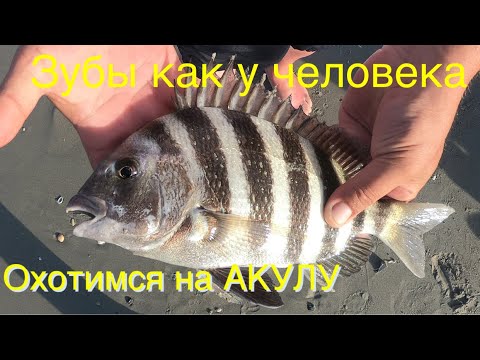 Видео: Рыбалка на Атлантическом Океане/Рыба Монстр