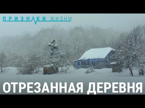 Видео: Отрезанная деревня | ПРИЗНАКИ ЖИЗНИ