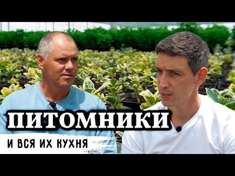 Видео: Питомник декоративных растений / ТОП-5 растений легкого выращивания