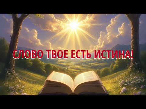 Видео: 26 октября 2025 г.