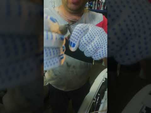 Видео: Не включается 1 и 2 передачи заз шанс деонексия решение!!