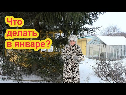 Видео: Садовые дела января