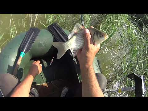 Видео: УЕЛГИ перед наступлением ГРОЗОВОГО Фронта