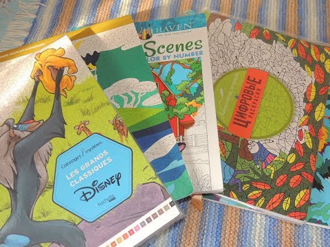 Видео: ЧЕЛЛЕНДЖ  Раскрашиваю 24 часа  РАСКРАСКИ Антистресс