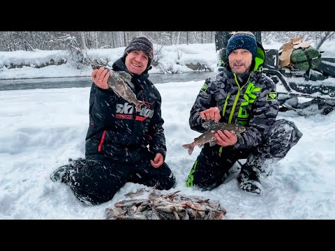Видео: Хариус Зимой На Летние Удочки! Сумасшедший клёв под Новый Год!