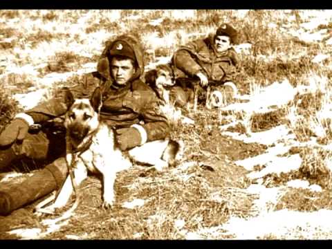 Видео: застава Сары-Бухтор КВПО (новый .mp4)