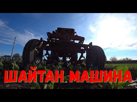 Видео: Свёкла Открытый Грунт/Особенности выращивания Свёклы/Как нужно делать междурядку на Свёкле!!!