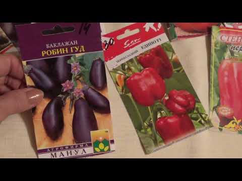 Видео: Баклажаны, мой выбор на 2019 год.