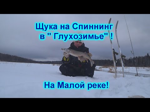 Видео: Зимний Спиннинг на Малой реке! " Глухозимья" там не бывает !