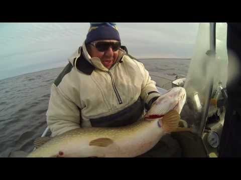 Видео: Пираты Киевского моря - в погоне за трофейным крокодилом.