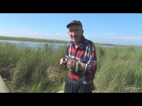 Видео: Бузин Вася