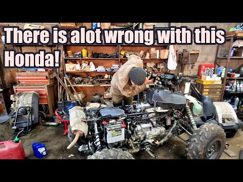 Видео: Основные проблемы с Honda Rincon 680
