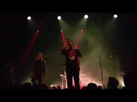 Видео: Макулатура - Как любят покойники