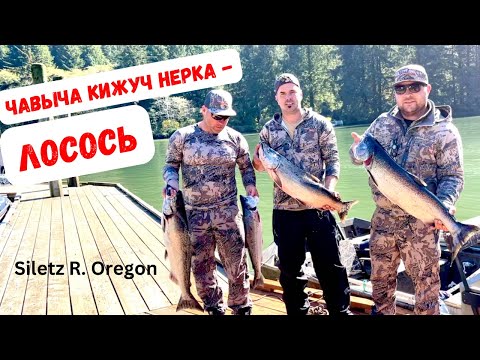 Видео: ЧАВЫЧА КИЖУЧ НЕРКА - ЛОСОСЬ! НЕВЕРОЯТНАЯ РЫБАЛКА В АМЕРИКЕ! ШТАТ ОРЕГОН, США