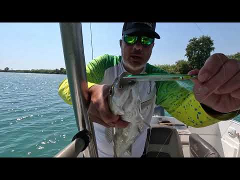 Видео: Капитални ЛАВРАЦИ на УЛТРАЛАЙТ